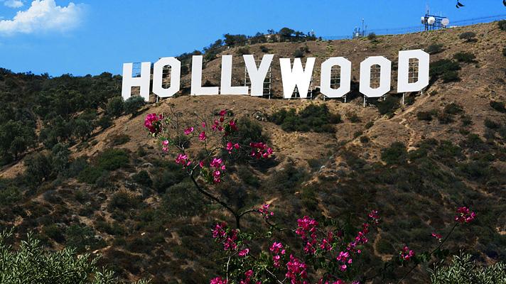 Image result for los angeles hollywood